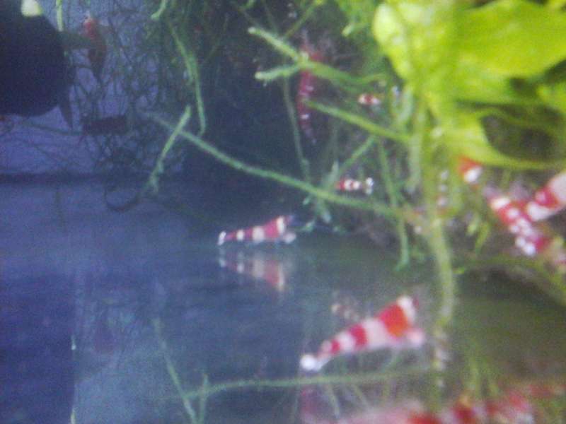 216158_0_82_20140214_215304.jpg