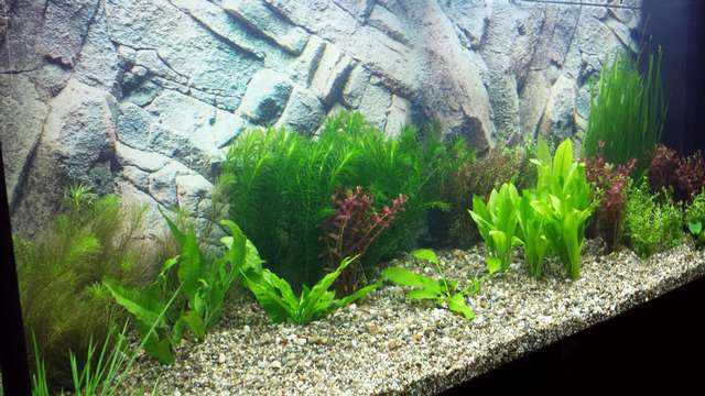 228914_0_82_20140129_144539.jpg