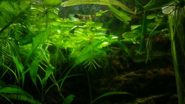 237712biologist_0_82_img_20160204_192928116.jpg