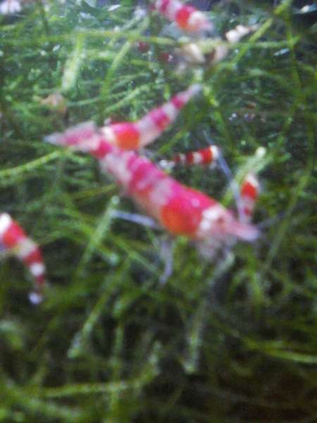 238742_0_82_942.jpg