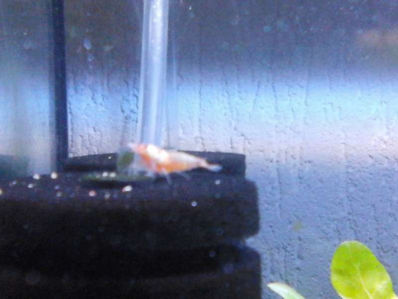 241149_0_82_20140422_203245.jpg