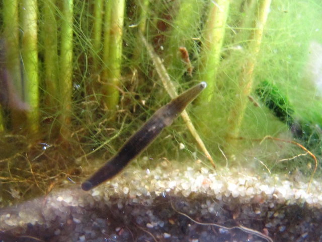 247987kimelderhorst_0_85_0507201.jpg