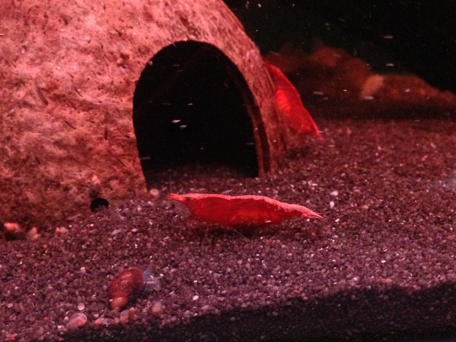 254668sanneke80_0_85_2016_superfish_expert_3.jpg