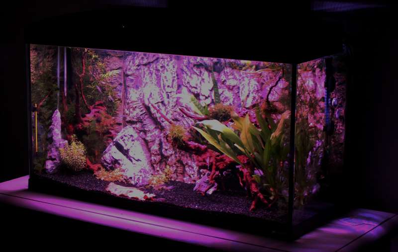 257111popol_0_82_aquar05.jpg