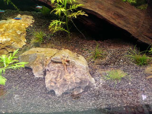 264124blikje_0_82_20131223_140501.jpg