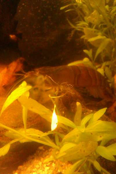 269895_0_82_20131203_20.jpg
