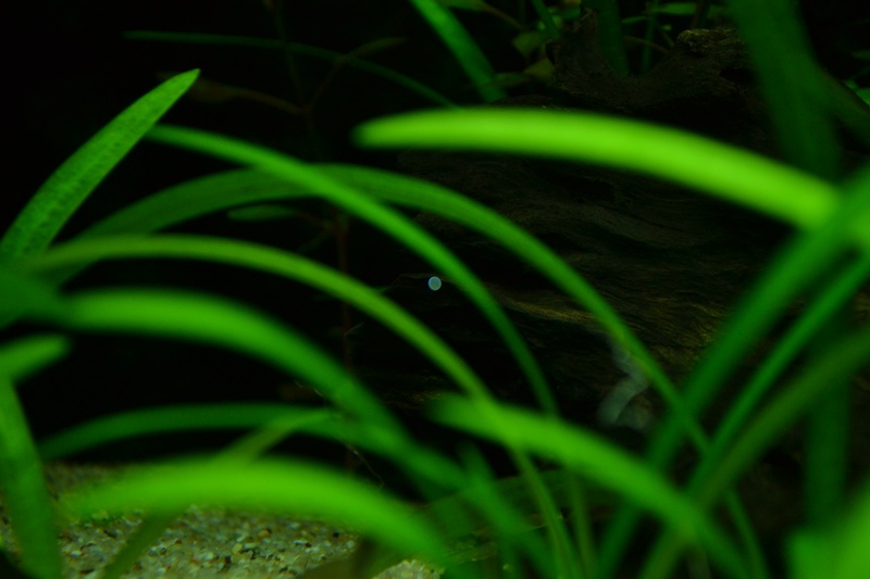 273172maflodder_0_85_103d310.jpg
