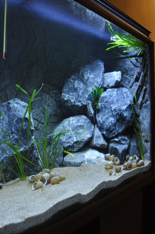 281737wiets82_0_85_aquariu.jpg