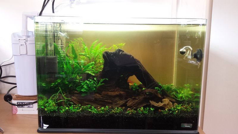 282397catcorp_0_85_aquarium_nieu.jpg