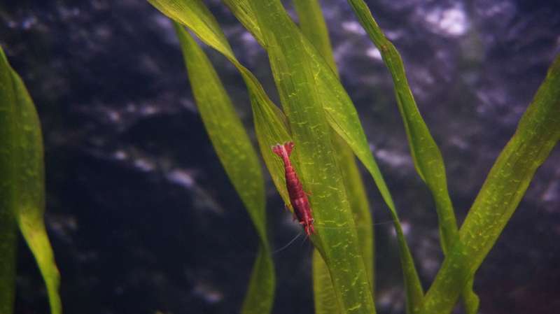 283158aquatin_0_82_dsc01000.jpg