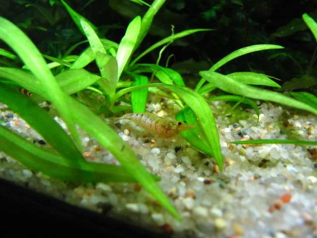 283752kimelderhorst_0_82_img_3944.jpg