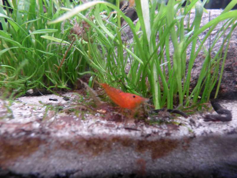 285189_0_82_aquarium_060.jpg