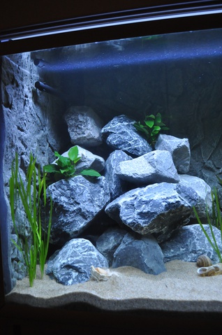 287466wiets82_0_85_aquariu.jpg