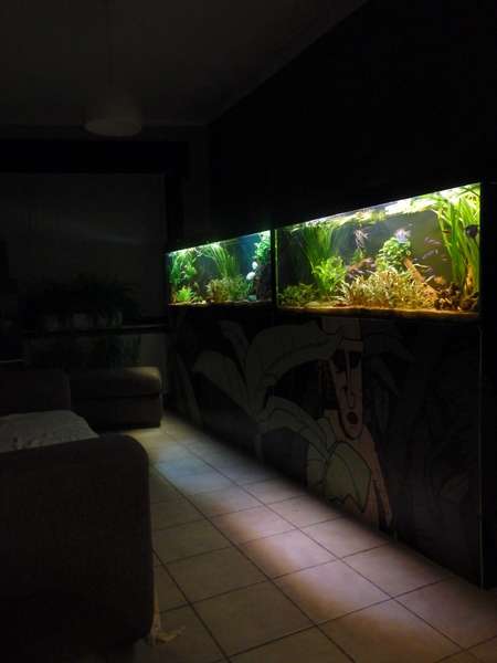 295133_0_82_az_za_1.jpg