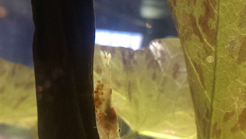 299872_0_82_20141224_14.jpg