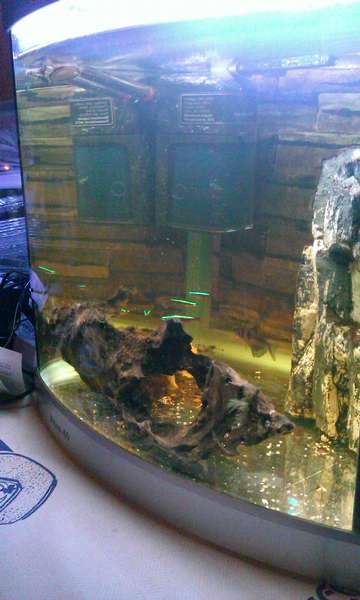 312181_0_82_1254.jpg