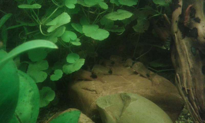 312924_0_82_20131027_184104.jpg