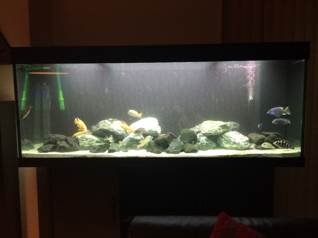 314124aquaria17_0_84_image1.jpg
