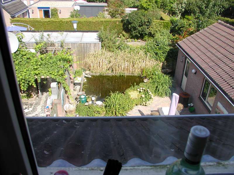 315437bartm_0_82_p1010101.jpg