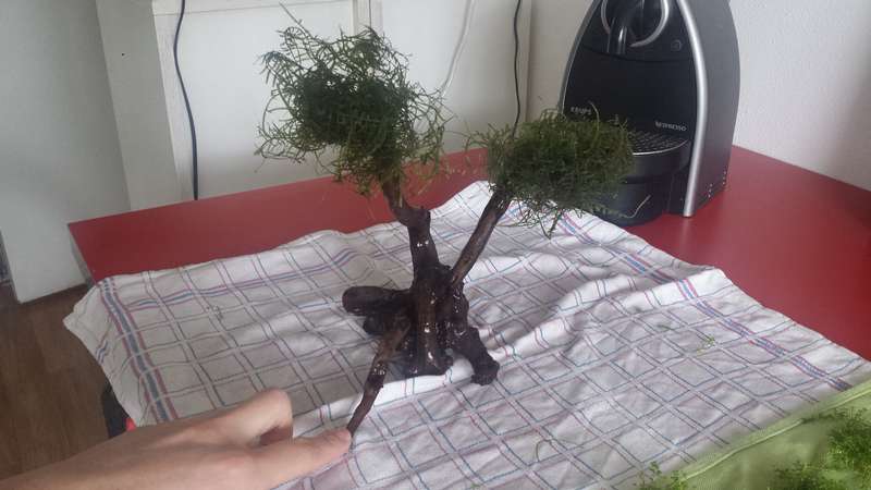 318961dehuisgenoten_0_82_20141105_105742.jpg