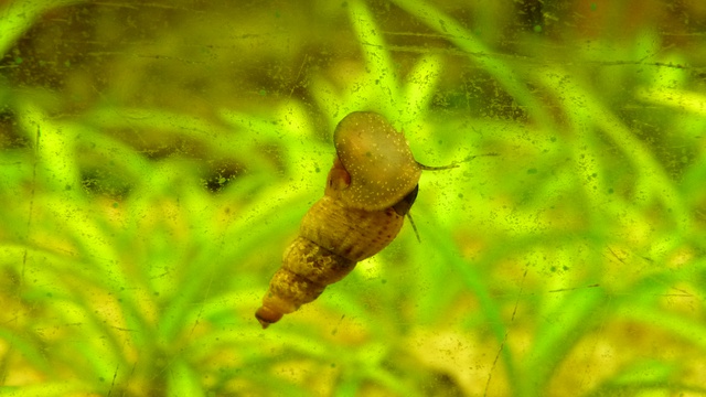319788jeto_0_85_112_pan.jpg