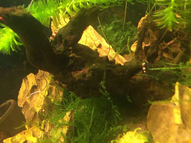 323246_0_82_foto_190915_21_25_15.jpg