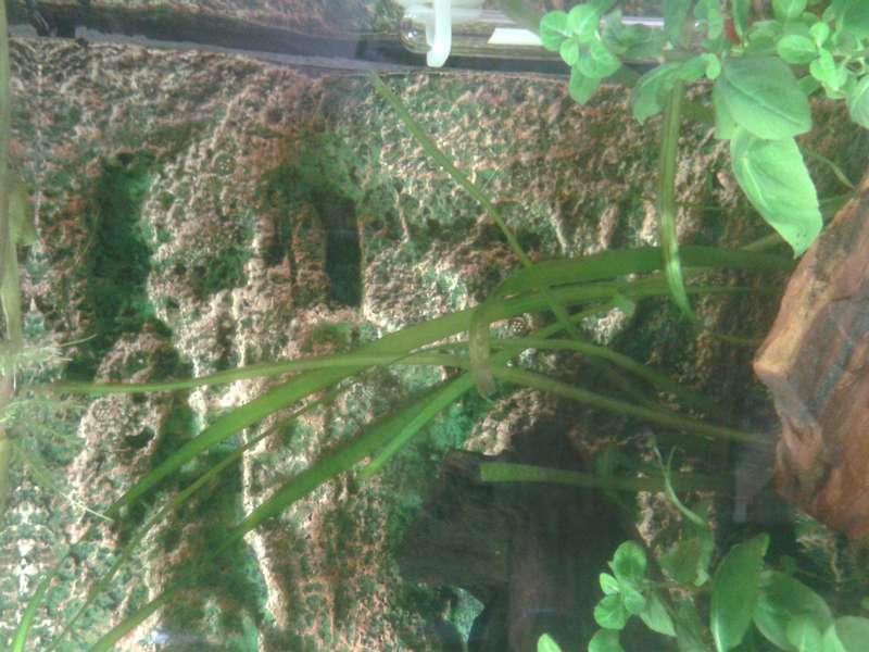 324316biologist_0_82_20150628_185831.jpg