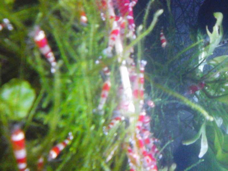 337313_0_82_913.jpg