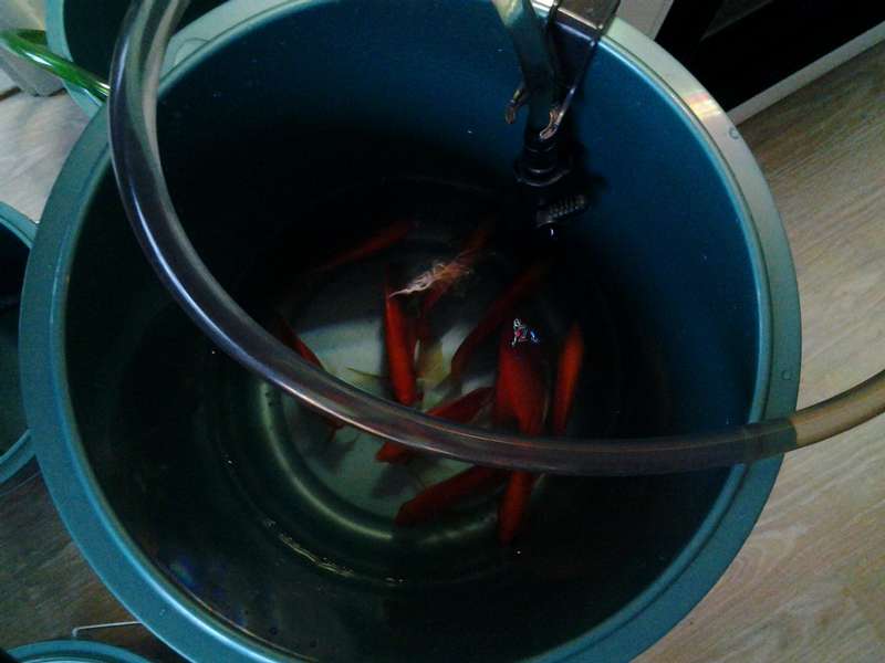 338775tvp_0_82_20150110_153604.jpg