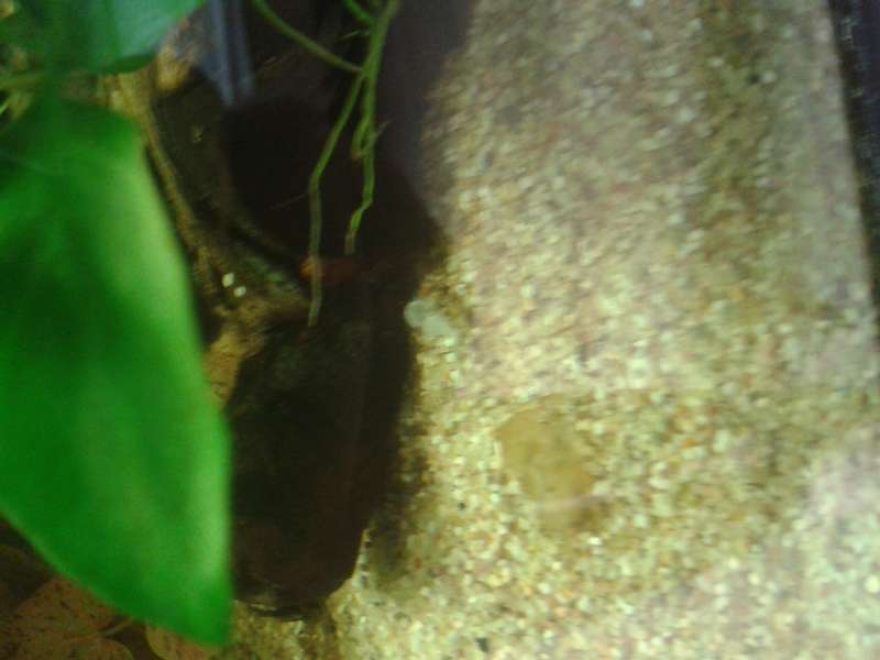 342974biologist_0_82_20150619_161126.jpg
