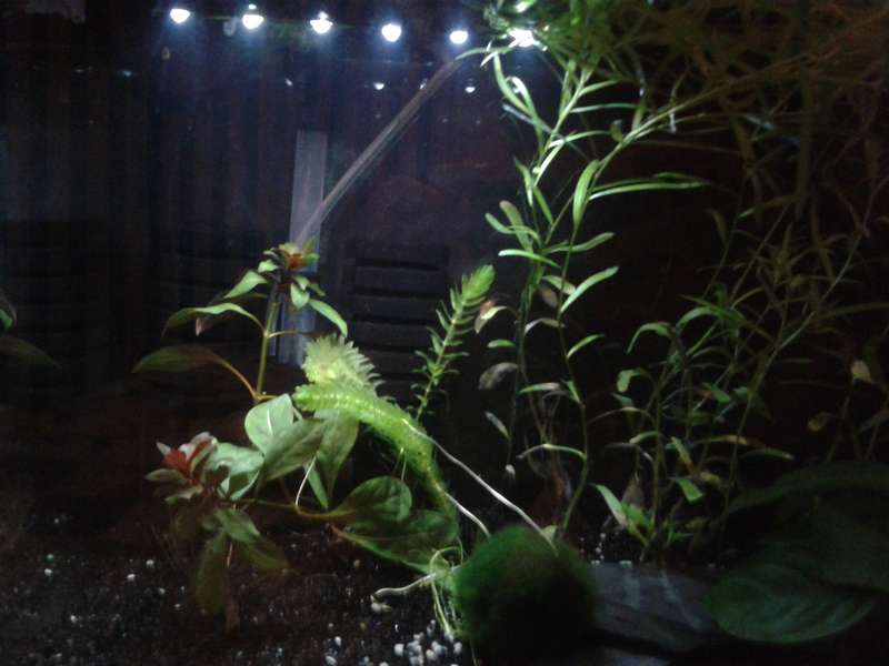 349589_0_82_20141213_19.jpg