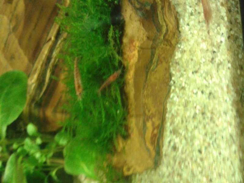 359198biologist_0_82_20150618_204225.jpg
