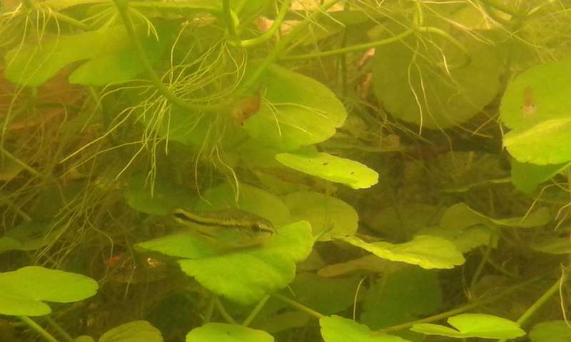 361433_0_82_20131029_213748.jpg