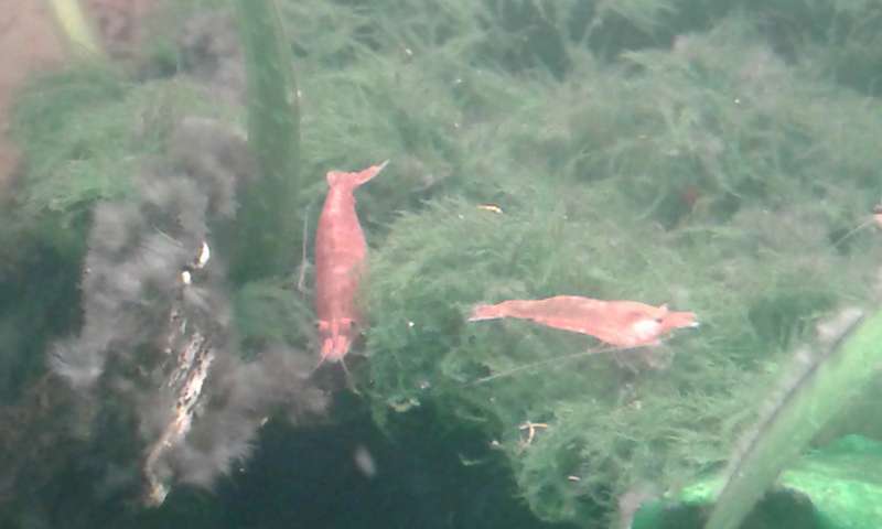 364191an_vrolijk_0_82_20140511_201805.jpg