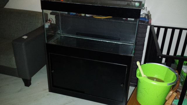 379996susan84_0_85_aquarium_1.jpg