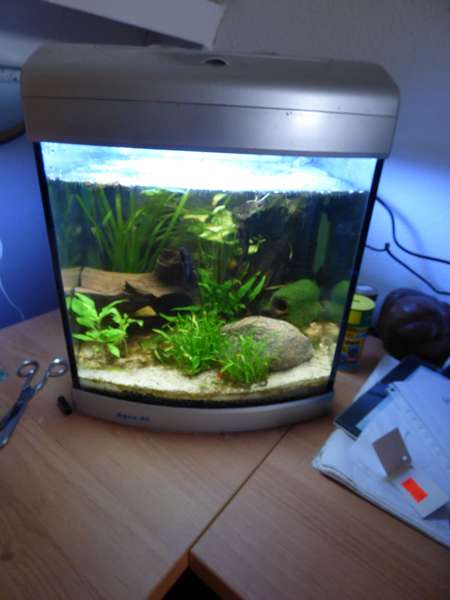 394851_0_82_aquarium_084.jpg