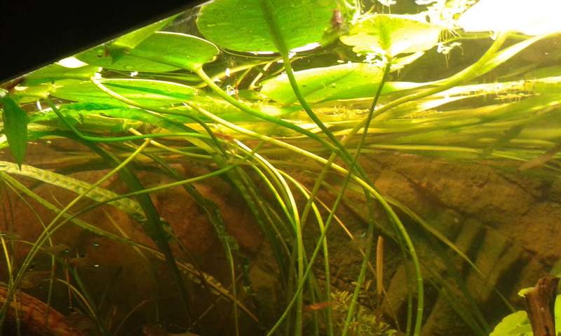 395419_0_82_20140505_222239.jpg