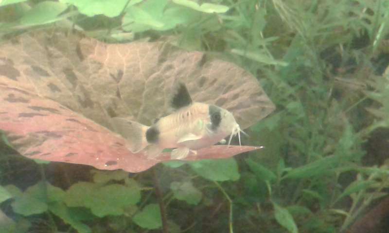 395914_0_82_20131028_143939.jpg