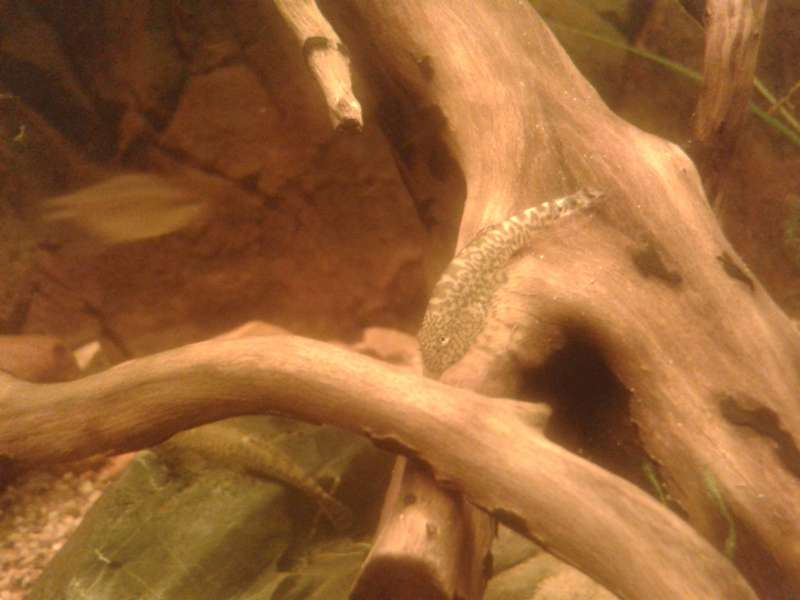 397991an_vrolijk_0_82_20140220_205726.jpg