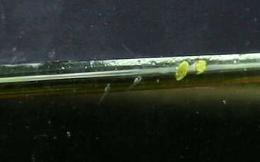 411724_0_82_img_4348.jpg