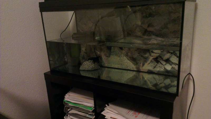416791w0uter_0_82_w0uter_aquarium_imag0675.jpg