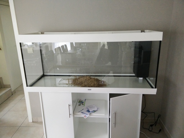422111akitaluna_0_85_deskto.jpg