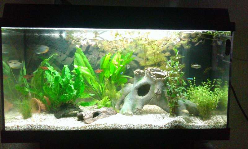 426317_0_82_het_aquarium_in_2013.jpg