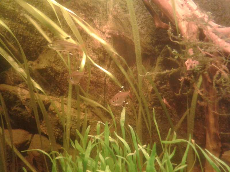 426726an_vrolijk_0_82_20140127_104944.jpg
