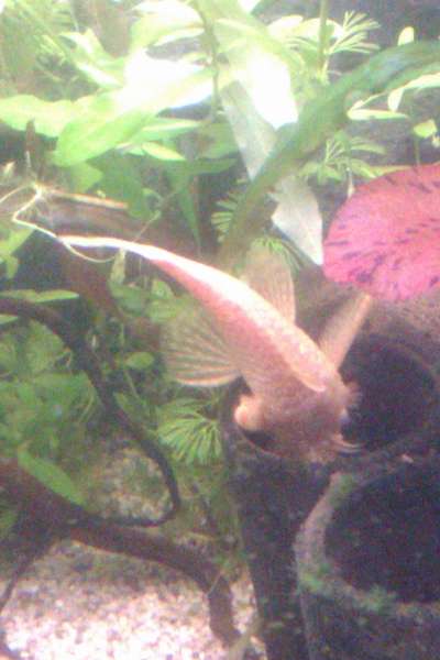 428585_0_82_20140223_17.jpg