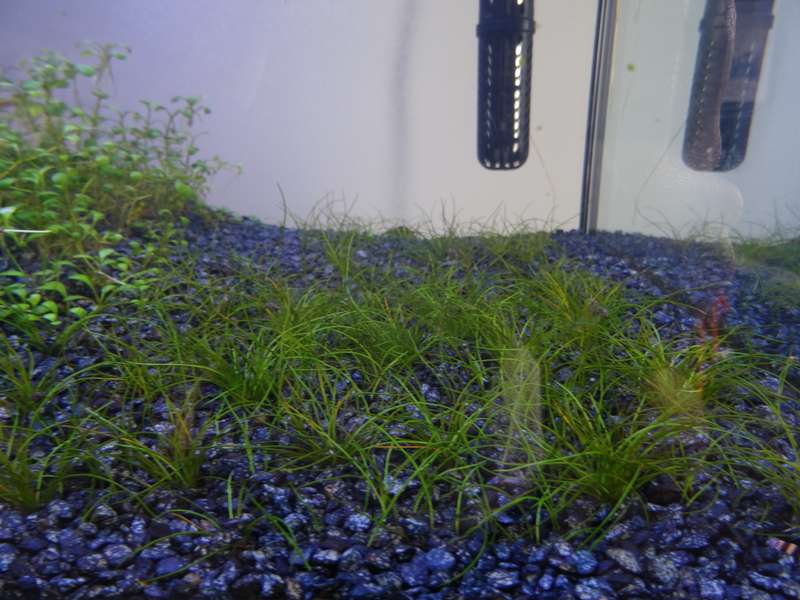 436164jsiegmund_0_82_dsc00095.jpg