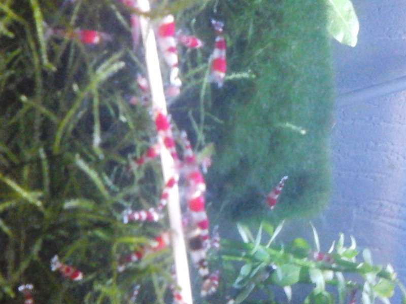 449829_0_82_904.jpg