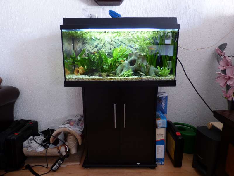 451455_0_82_aquarium_totaal.jpg