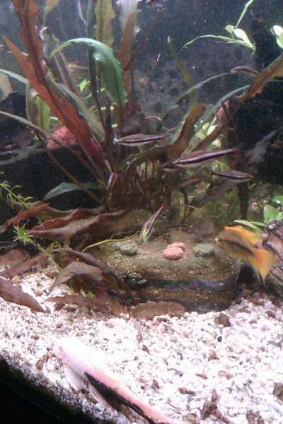 455628_0_82_20140208_21.jpg