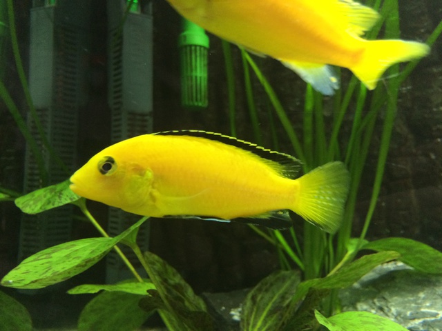458674aquaria17_0_84_image2.jpg